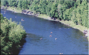 Delaware River Rafting