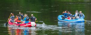 rafting hero image