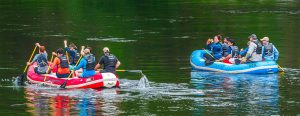 rafting hero image